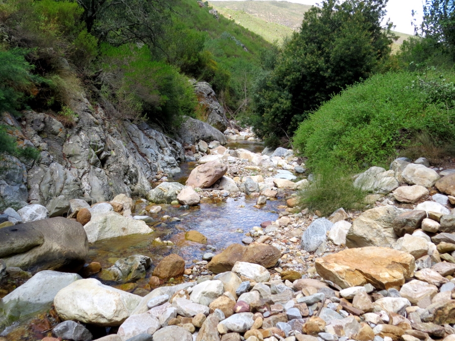 16 Bedroom Property for Sale in Robertson Rural Western Cape